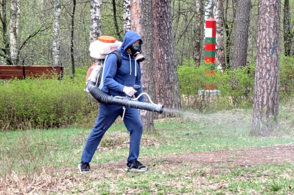 В Иванове очистили от клещей все городские парки 